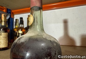 imagem_4