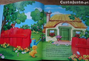 imagem_3