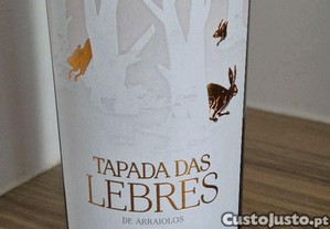 imagem_5