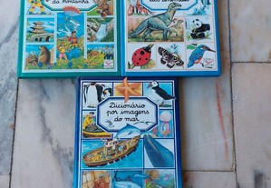 imagem_2