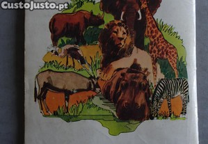 imagem_2