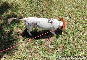 imagem_4