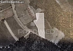 Terreno em angeja