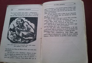imagem_5
