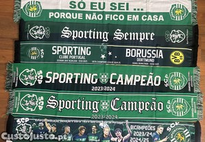imagem_6