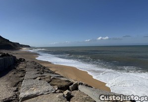 imagem_11