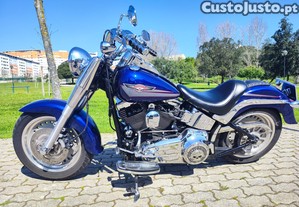 Harley Davidson Fat Boy 2007 28000km 13290  - 07