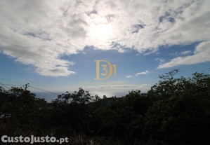 imagem_26