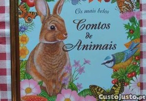 imagem_1