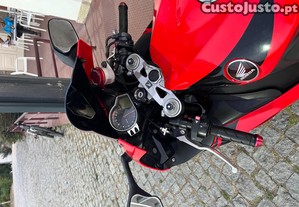 imagem_8