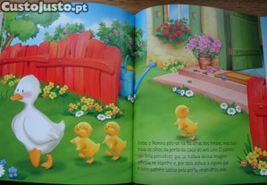 imagem_6
