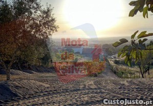 imagem_22