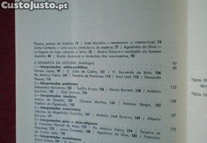 imagem_8