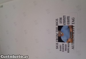 imagem_1