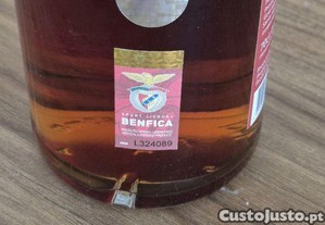 imagem_7