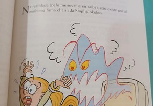 imagem_4