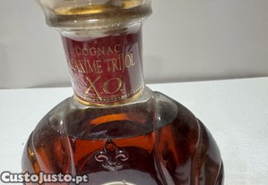 imagem_3