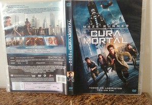 imagem_7