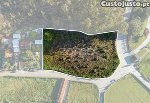 Terreno Com 4200M2 Em São Pedro De Avioso