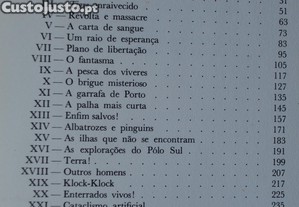 imagem_8