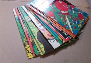imagem_2