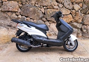 imagem_1