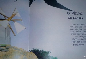 imagem_5