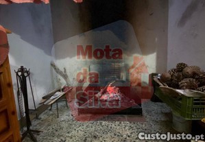 imagem_13