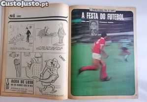 imagem_6