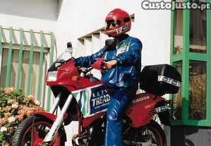 imagem_10
