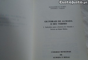 imagem_4