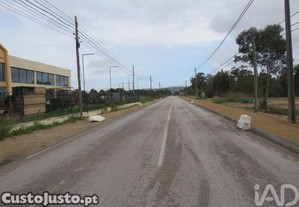 imagem_11