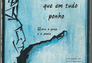 A Luz que em Tudo Ponho - Jorge R. M. Santos (1984)