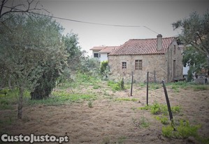 Casinhas e quintal da av (Serra da Estrela)