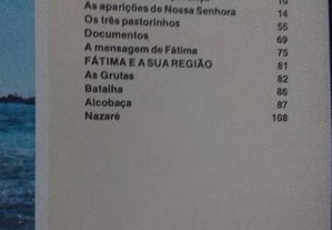 imagem_8