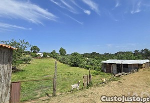 imagem_16