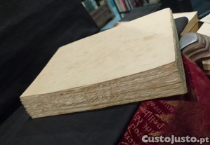 imagem_5