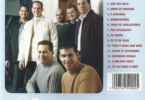 imagem_2