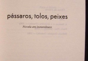 imagem_2