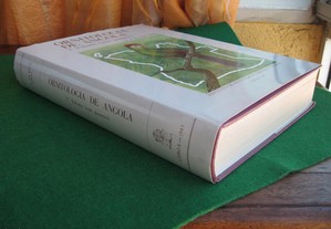 imagem_8