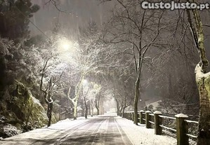 imagem_15