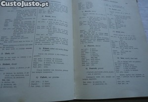 imagem_7