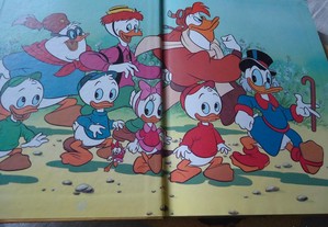imagem_5