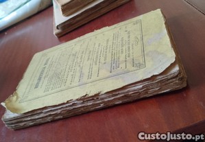 imagem_12