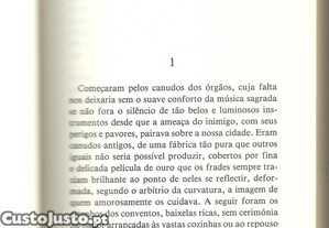 imagem_6