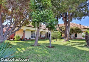 Moradia T4 Ribeira Brava, Sitio Da Tabua.