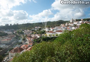 imagem_21