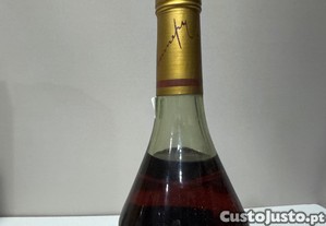 imagem_6