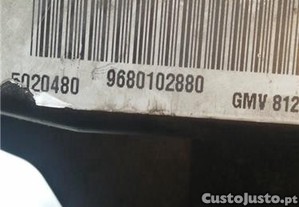 imagem_3