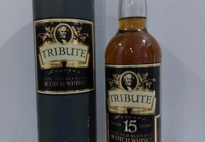 Tribute 15 anos